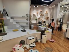 -COLOR PETS 撸猫馆·购猫·猫咖(长风大悦城店)