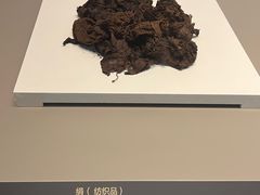 -齐文化博物馆