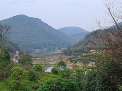 -桃花岭景区