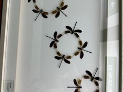 -昆明动物博物馆