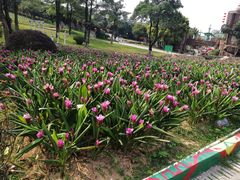 -松山湖梦幻百花洲