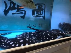 -海口骑楼小吃街