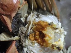 -虾外婆