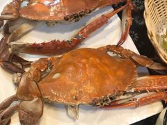 -旺角小渔村·海肠捞饭开创者(环山路店)
