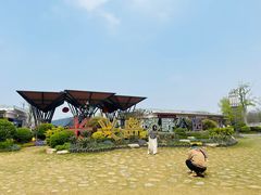 -上海长兴岛郊野公园