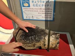 -大阪市立自然史博物馆