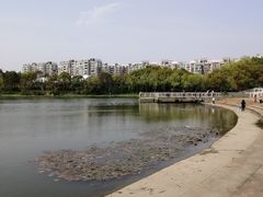 -新江湾城公园