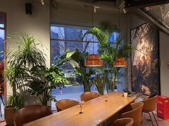 -Wagas沃歌斯(枫蓝国际店)