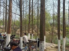 -桤木河湿地公园