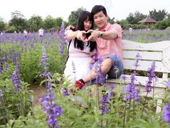 -广东花都香草世界旅游度假区