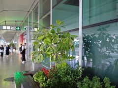 -福州长乐国际机场