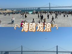 -星海广场