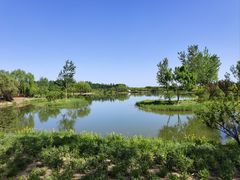 -东郊湿地公园