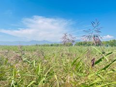 -野鸭湖国家湿地公园