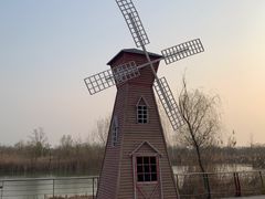 -南湖国家城市湿地公园