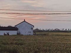-小陆莲花蟹园农家乐(莲花岛店)