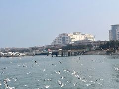 -日照灯塔风景区