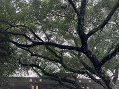 -桂林独秀峰王城景区