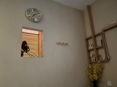 -养心阁足道馆(火宫殿一店)