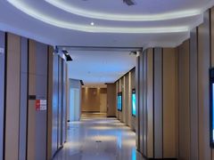 -百丽宫影城(CGS激光苏宁广场店)