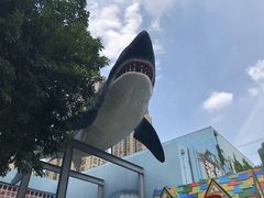 -海合安成都极地海洋公园