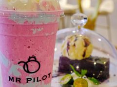 独角兽奶昔-飞行喵MR PILOT|猫舍·猫咖(静安大融城店)