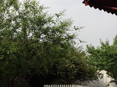 -北京鲁迅博物馆(北京新文化运动纪念馆鲁博馆区)