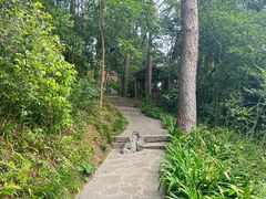 -生态园山庄(森林公园店)