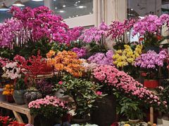 -双季花艺园艺市场(浦东店)