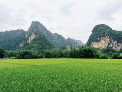 -明仕田园