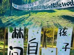 -北京梧桐树双语幼儿园