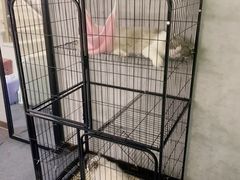 -笨猪青年旅舍(西乡地铁站店)