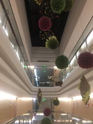-爱弥儿月子中心(省医院店)