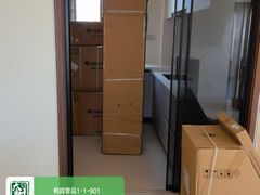 -大树装饰·十年本土家装