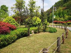 -贵阳市花溪国家城市湿地公园