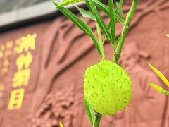 -广州神农草堂中医药博物馆