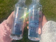 -艾溪湖湿地公园