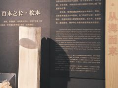 -宁波市保国寺古建筑博物馆