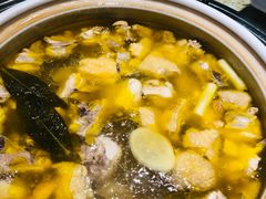 -先机泉水鸡汤(南山老君洞店)