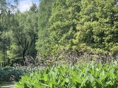 -洛阳市隋唐城遗址植物园