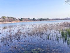 -东湖落雁景区