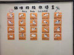 -有喵·猫咖·狗咖·40+猫狗有小奶狗(岗厦店)