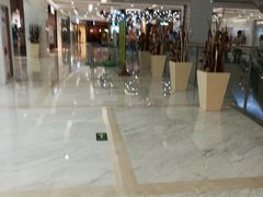 -远洋未来汇
