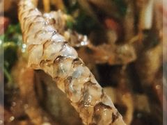 -陈添記·祖傳爽鱼皮·西关老字号(广州首店)