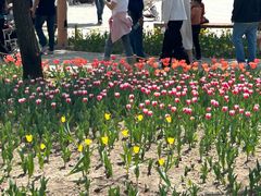 -长春公园(普阳街道)