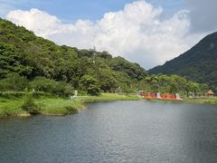 -广州市石门国家森林公园