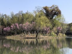 -梁鸿国家湿地公园