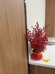 -上海玫瑰医疗美容医院