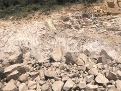 -大姆山草场