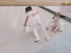 -蒲公英舞蹈艺术中心(促进路校区)